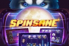 Spinsane